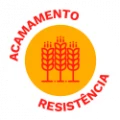 selo: Acamamento - Resistência