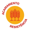 selo: Acamamento e Resistência